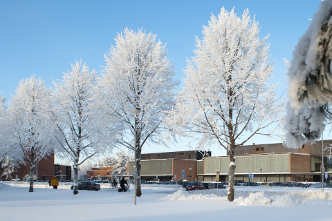 Joensuu Campus at winter