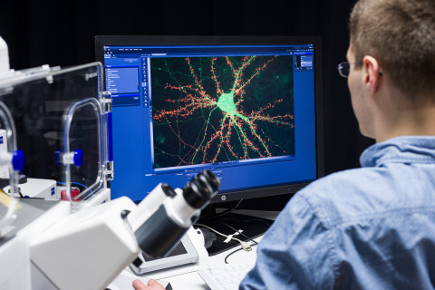 Neural cell on computer screen