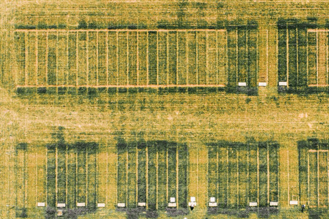 Aerial view of a research field.