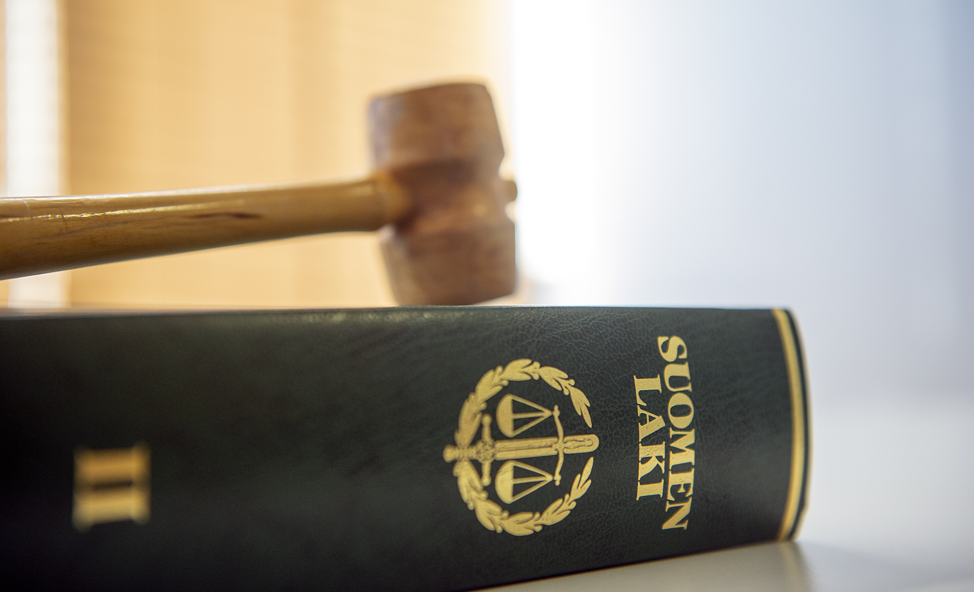 Puheenjohtajan nuija lakikirjan päällä