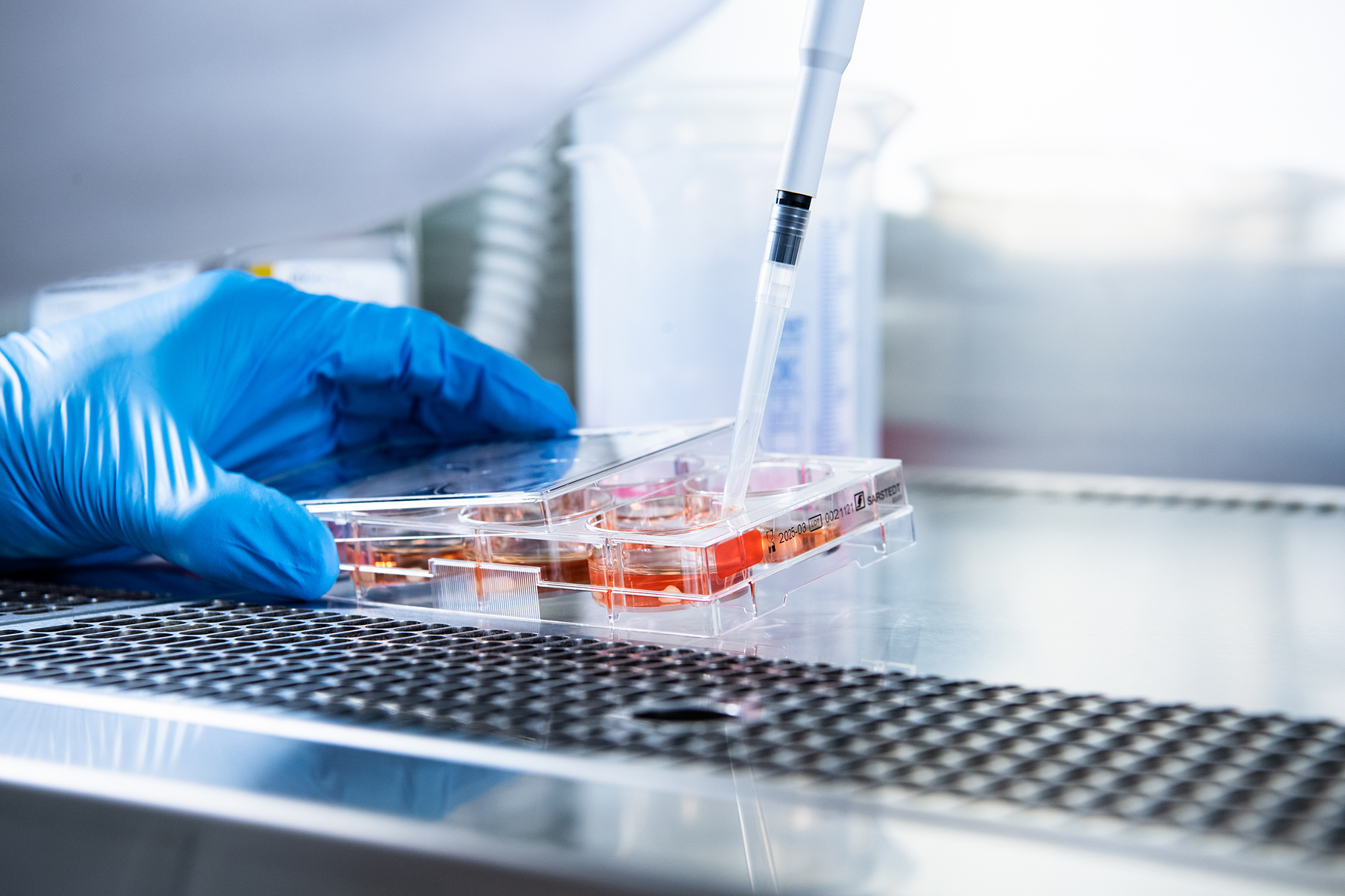 Pipetointia laboratoriossa