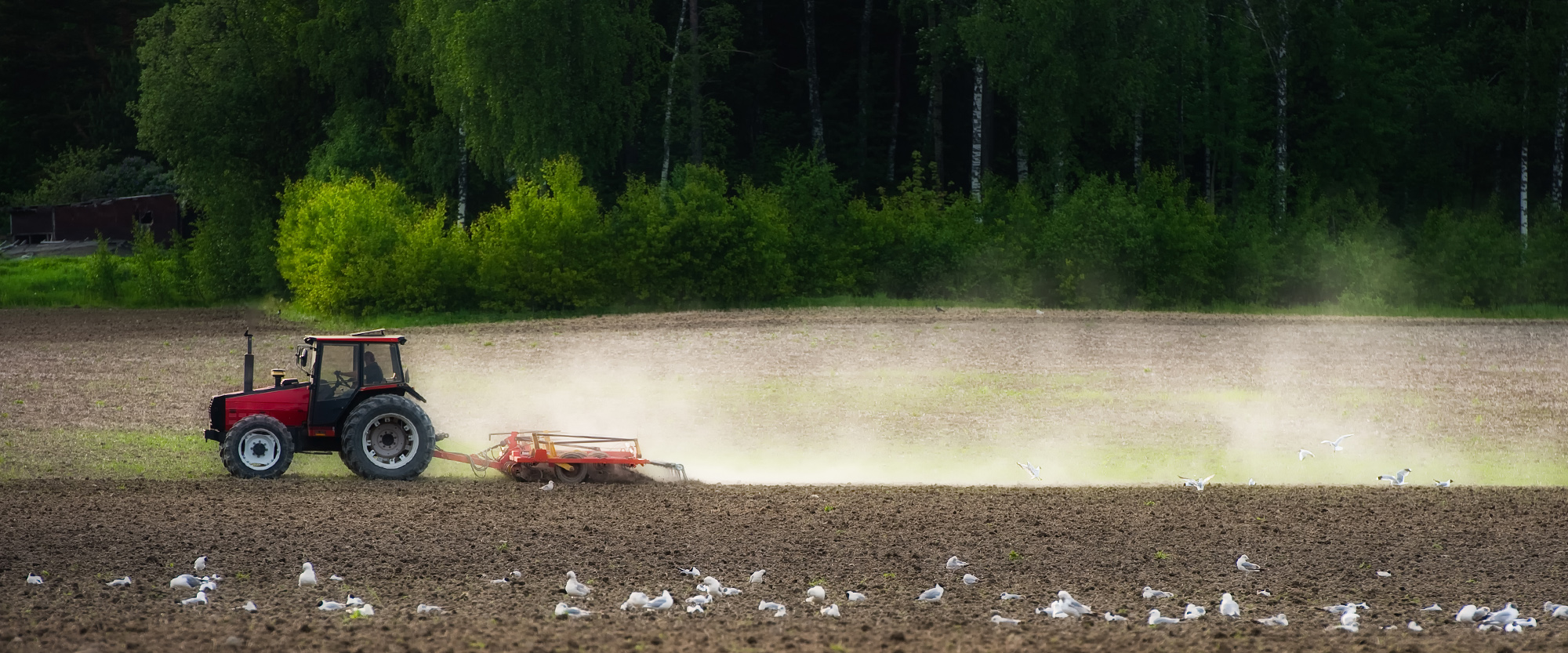 Tractor on a field.