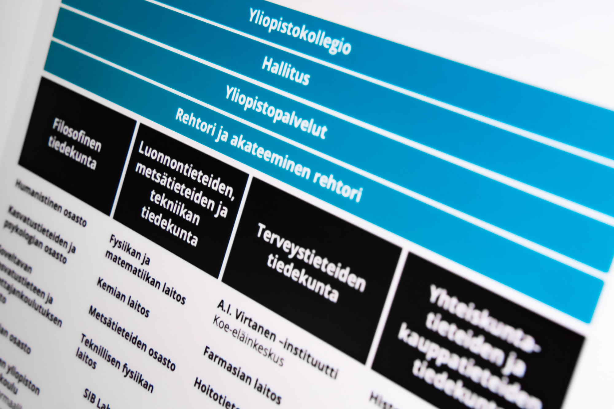 UEFin organisaatiokaavio.