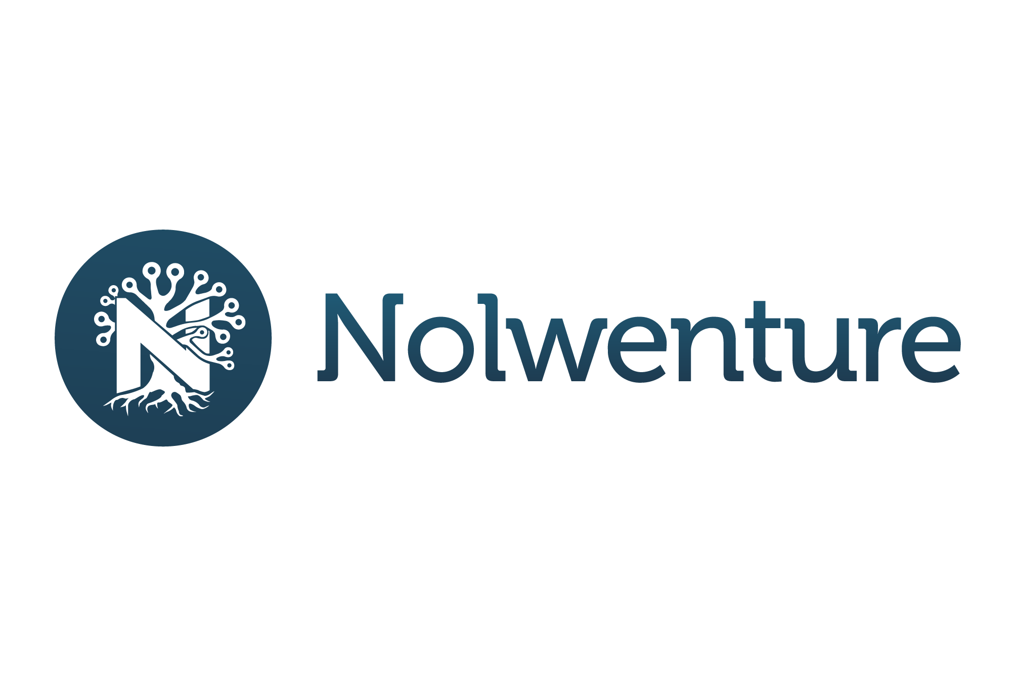 logo Nolwenture Oy.