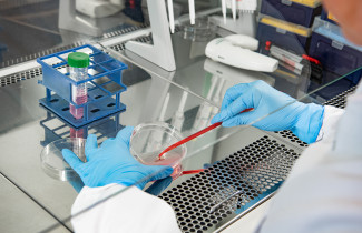 Potilasperäisiä soluja käsitellään laboratoriossa