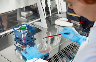 Stem cell lab.