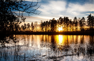 Maisema. Kuva Mostphotos.