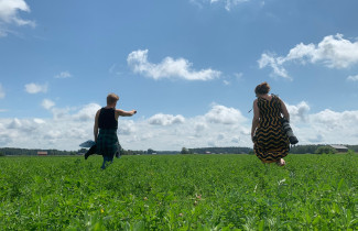 Ihmiset kesällä pellolla. Soja Sädeharjun tutkimuksesta viestimiseen. Kuva: Soja Sädeharju. Ei saa käyttää.