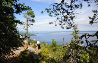 metsäalan tilauskoulutukset