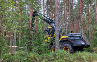 Metsäkone. Kuva: Kalle Kärhä.