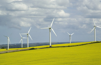 Tuulipuistoa avoimessa viljelysmaisemassa