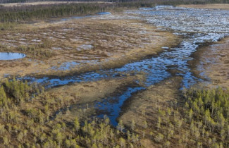 Research group picture: SHIFTMIRE