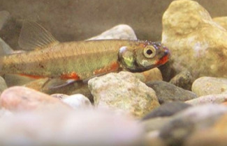 Research group picture: The research group of Aquatic Ecology and Behavioural Ecology