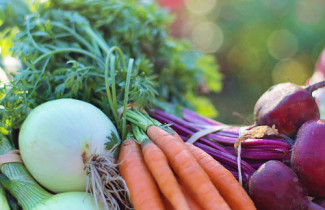 Tutkimusryhmän kuva: FOODNUTRI – kestävää ruoka- ja ravitsemustutkimusta