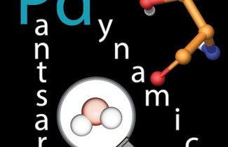 Tutkimusryhmän kuva: Pantsar dynamics