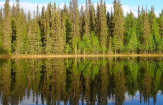 Tutkimusryhmän kuva: Biogeokemian tutkimusryhmä