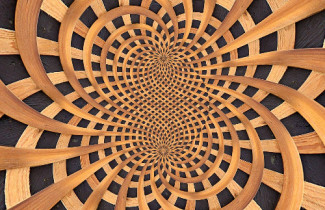 Tutkimusryhmän kuva: Puumateriaalitiede