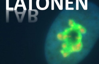 Tutkimusryhmän kuva: Syövän stressivasteiden biologia - Latonen lab