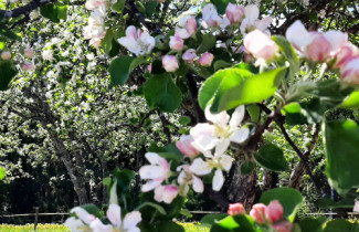 Tutkimusryhmän kuva: DEPKuopio