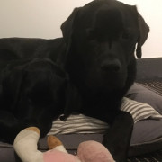 Profiilikuva: Mari Rantakare