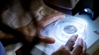 Ympäristötiede_mikromuovi.