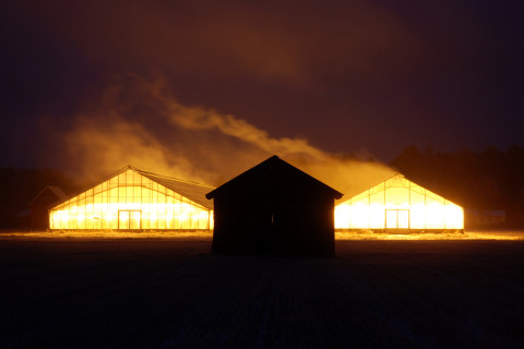 Kuvituskuva kasvihuone Närpiössä