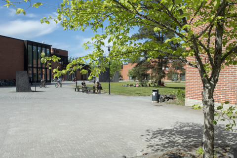 Image of facilities of Joensuu Campus in summer.