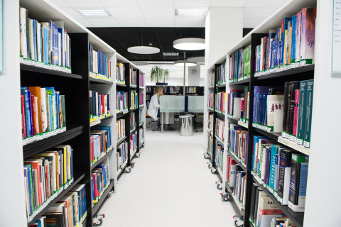 kirjasto, kirjahyllyt, kirjoja.