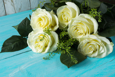 White roses on turquoise wood surface