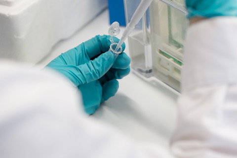 Pipetting in a laboratory