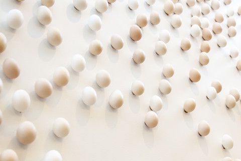 Kappelin seinäkoriste.