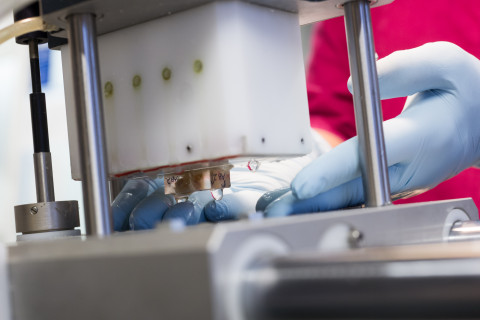 naisen kädet laboratoriolaitteella.