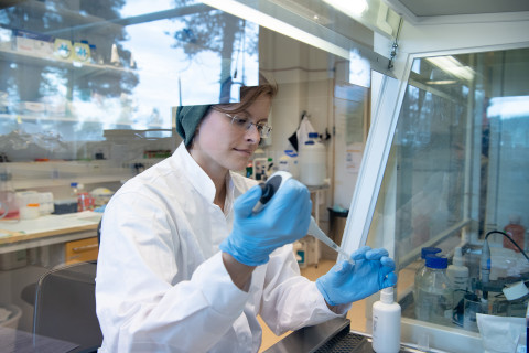 Researcher at laboratory work at A.I. Virtanen institute.