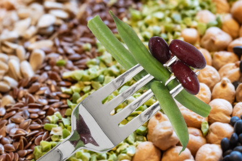 Beans, pies, lentils, seeds and grains.