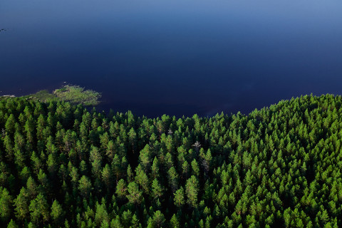 Aerial view of lake and forest