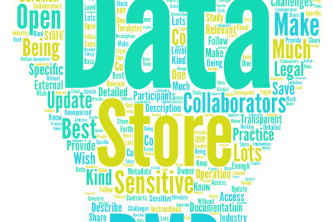 Kuvituskuva. Sanapilvi. Sanoja vihreällä, keltaisella ja sinisellä värillä.