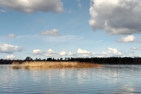 maisemakuva Sysmäjärveltä