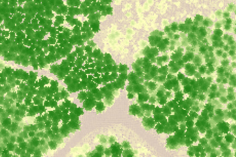 Laserkeilauspistepilvestä muodostettu latvuston korkeusmalli.