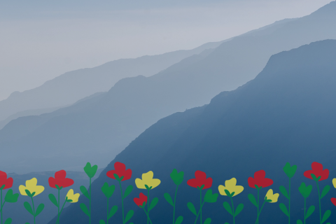 vuoristomaisema, kukkia