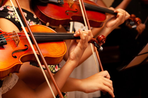 Violin players.
