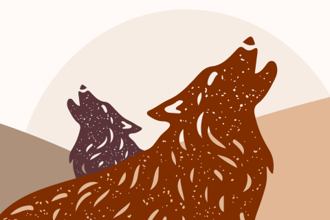 Grafiikka kahdesta ulvovasta sudesta.