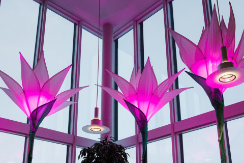 UEF Visual Festival.