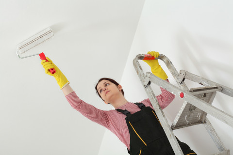 Katon maalausta maalaustelalla.