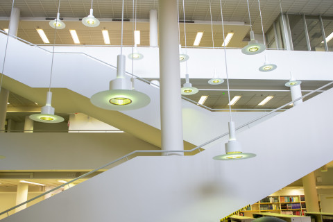 Library&#039;s ceiling
