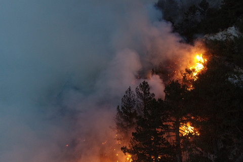Forest fire. Photo_Mostphotos.