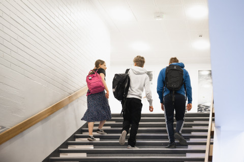 Norssin lukiolaiset kävelemässä koulun portaita.