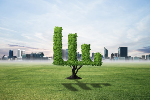 Pylväsdiagrammin muotoon leikattu puu.