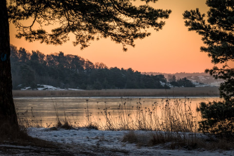 Winter landscape. Photo Mostphotos.