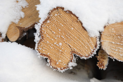 Lumber and snow.