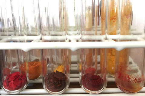 Dyes from bloodred webcap in powder form. Photo Riikka Räisänen, BioColour consortium.